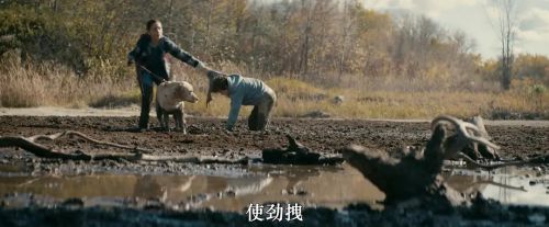 神秘感染