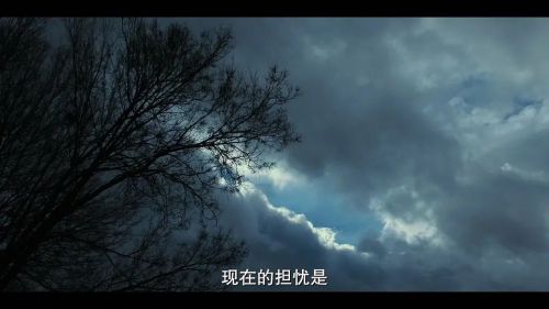 毛毯寻亲记