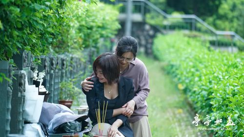 亭亭如盖