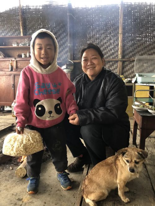 落地生根