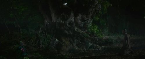 鸟类学家