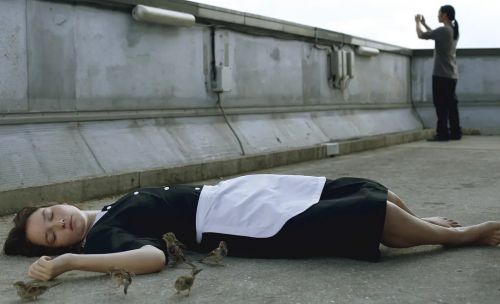 鸟瞰人生