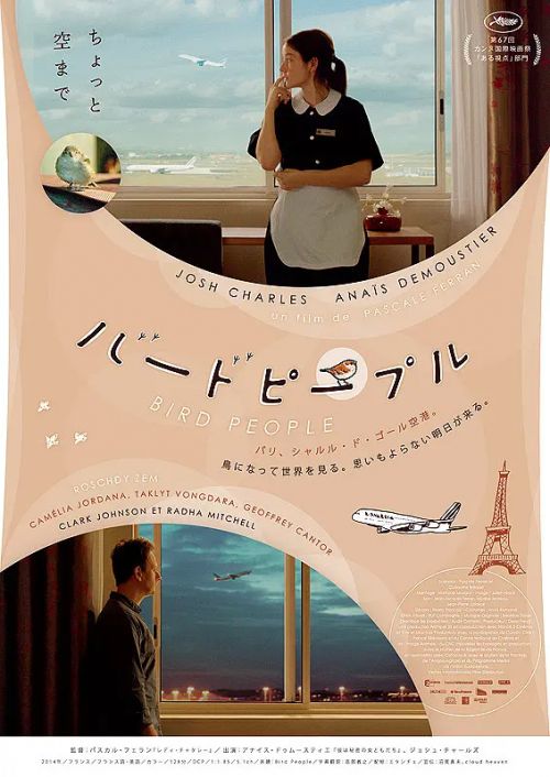 鸟瞰人生