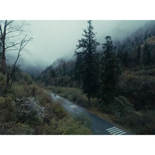 鲛在水中央