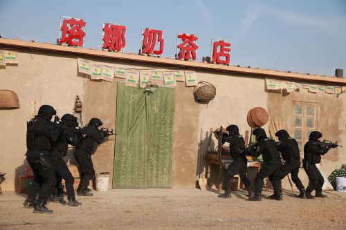 我是刑警王