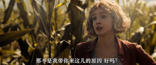 玉米地的小孩
