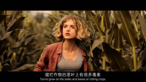 玉米地的小孩