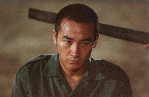 实尾岛