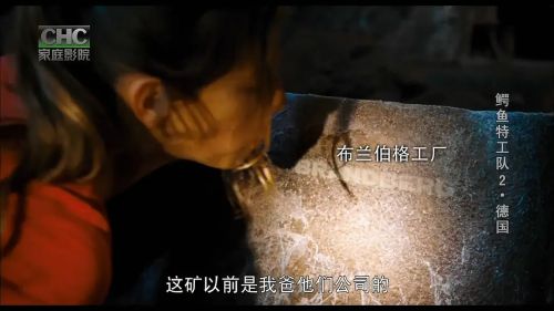 少年鳄鱼队2