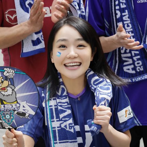 窨井盖