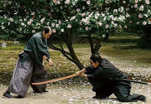 山茶花飘零 散り椿