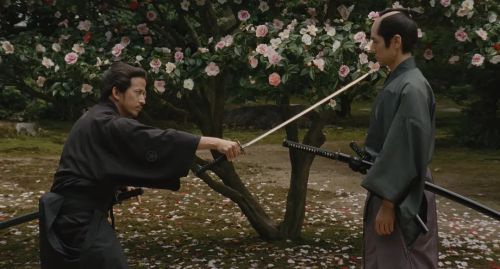 山茶花飘零 散り椿