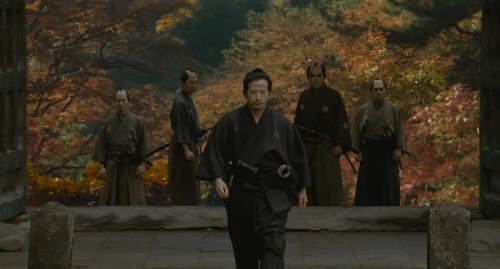 山茶花飘零 散り椿
