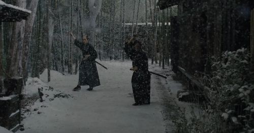 山茶花飘零 散り椿