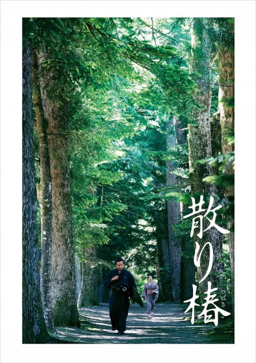 山茶花飘零 散り椿
