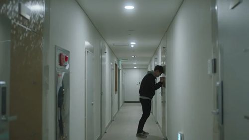 征服爱情