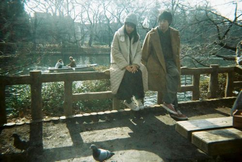 我喜欢的女子 僕の好きな女の子