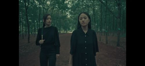 抽象画中的越南少女2