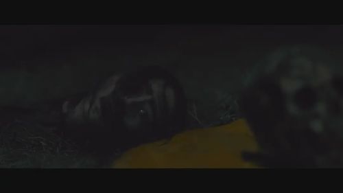 越南恐怖故事
