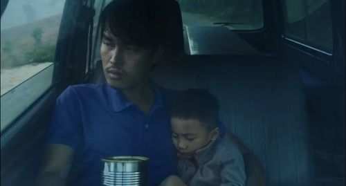 金色茧房