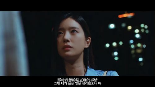 10天的爱人
