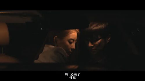 10天的爱人