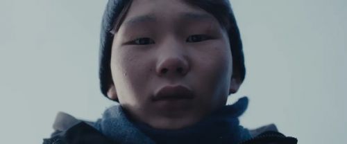 如果我能冬眠