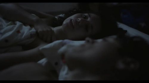 纽约真人类