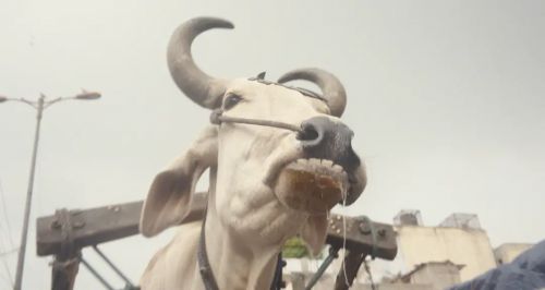 恶魔遁形