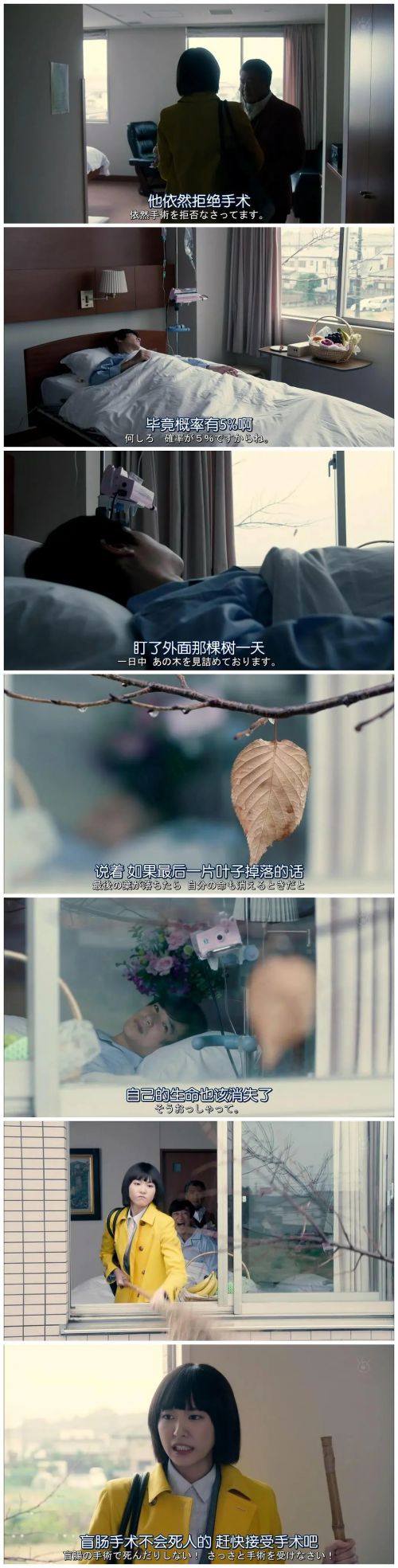 胜者即是正义 2014SP