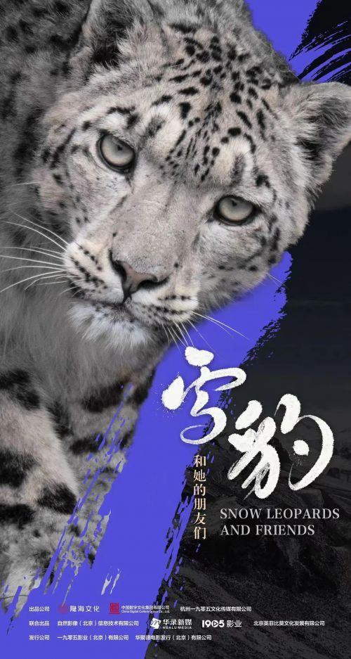 雪豹和她的朋友们