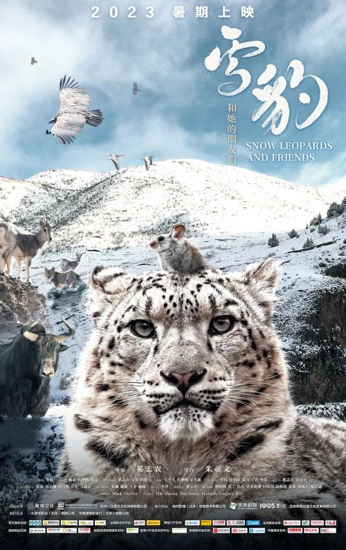 雪豹和她的朋友们