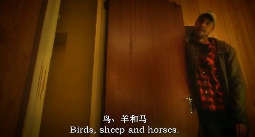 孵梦