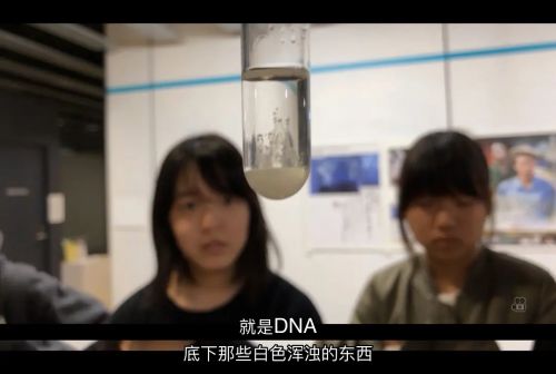 野性之旅