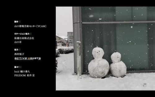 野性之旅