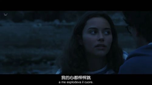 蜂鸟