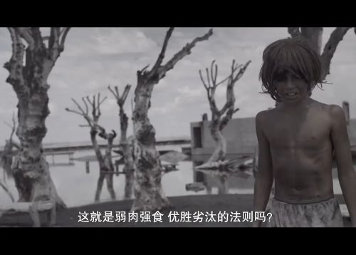 混沌九餐