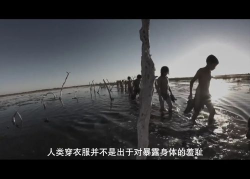 混沌九餐