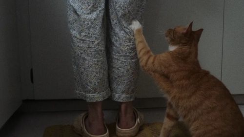 开展在即