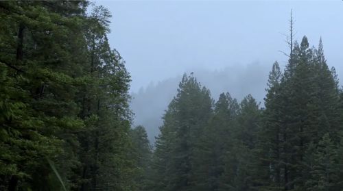 门闩上的黄油