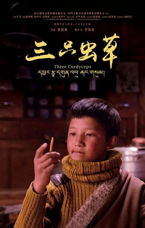 少年桑吉