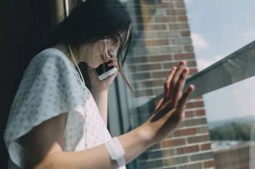 圣鹿之死