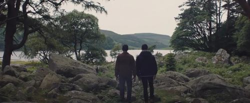 最终判决