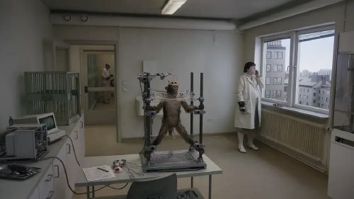 寒枝雀静