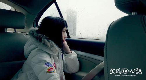 金鸡冠的公鸡