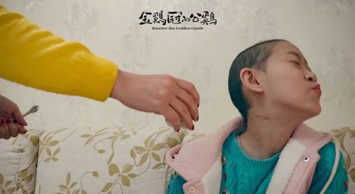金鸡冠的公鸡
