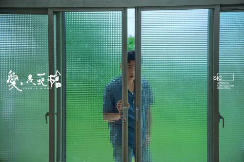 爱是一把枪
