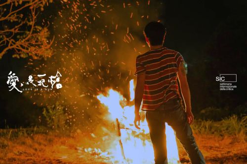 爱是一把枪
