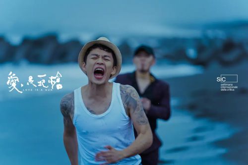 爱是一把枪