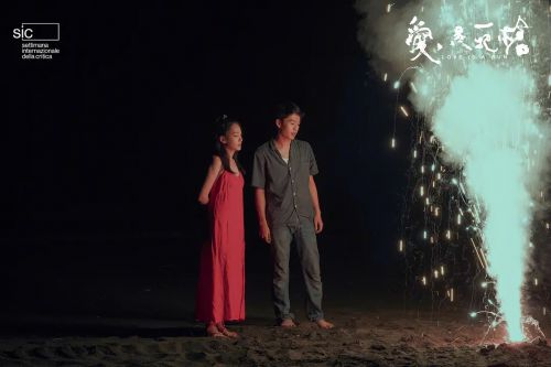 爱是一把枪